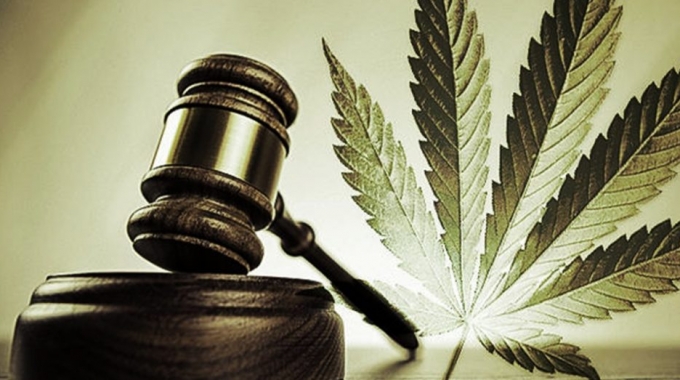 why Medical Marijuanas should be legal